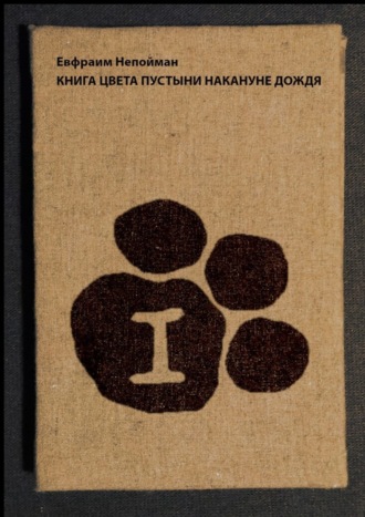 . Книга цвета пустыни накануне дождя