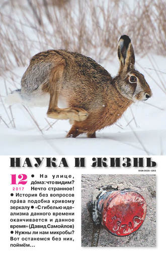 . Наука и жизнь №12/2017