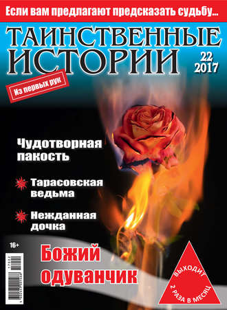 . Таинственные истории №22/2017
