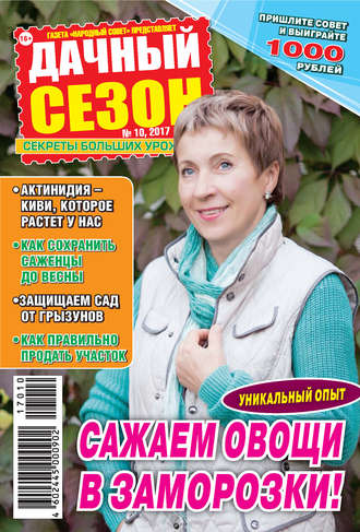 . Дачный сезон №10/2017