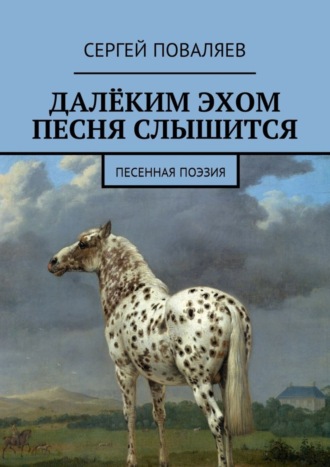 Сергей Анатольевич Поваляев. Далёким эхом песня слышится. Песенная поэзия