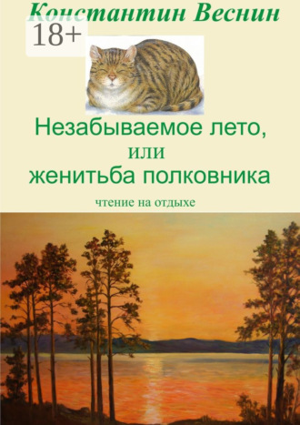 . Незабываемое лето, или Женитьба полковника