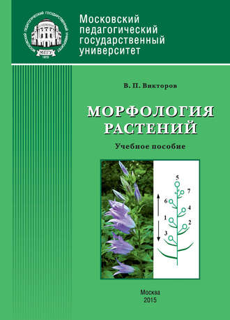 . Морфология растений
