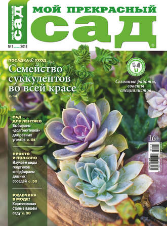 . Мой прекрасный сад №01/2018