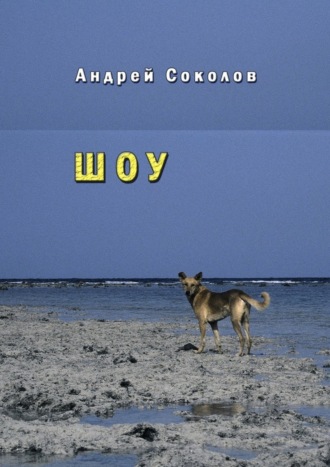 Андрей Соколов. Шоу