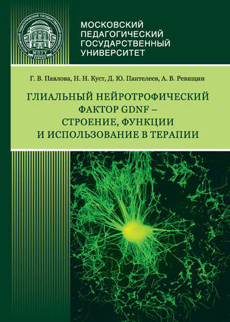 . Глиальный нейротрофический фактор GDNF – строение, функции и использование в терапии