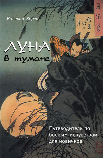 . Луна в тумане. Путеводитель по боевым искусствам для новичков