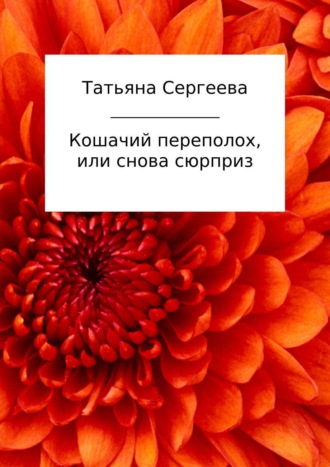 Татьяна Сергеева. Кошачий переполох, или Снова сюрприз