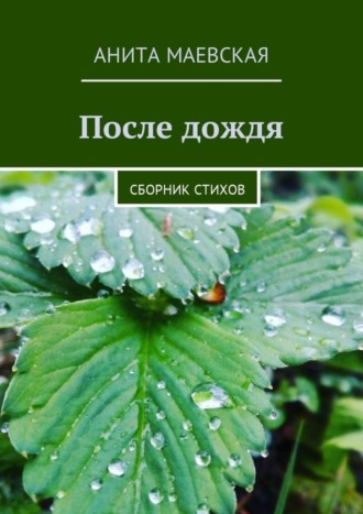 . После дождя. Сборник стихов