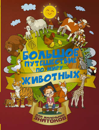. Большое путешествие по миру животных