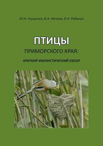 . Птицы Приморского края: краткий фаунистический обзор