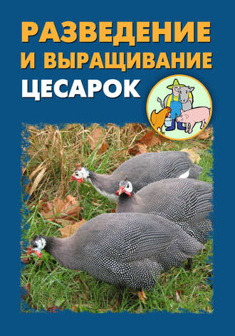 И. В. Мельников. Разведение и выращивание цесарок