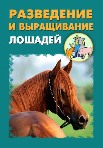 И. В. Мельников. Разведение и выращивание лошадей