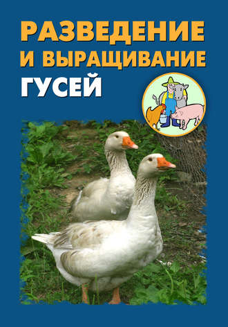 И. В. Мельников. Разведение и выращивание гусей