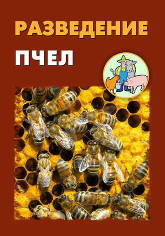 И. В. Мельников. Разведение пчел