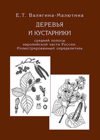 . Деревья и кустарники средней полосы европейской части России. Иллюстрированный определитель