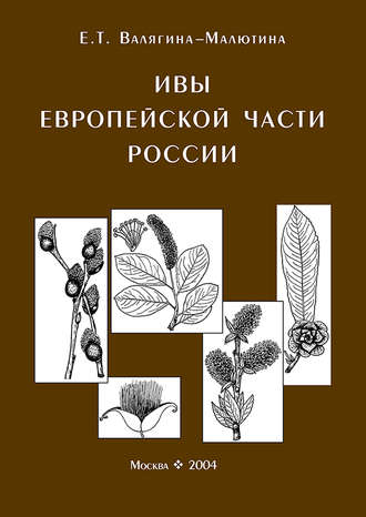 . Ивы европейской части России. Иллюстрированное пособие для работников лесного хозяйства