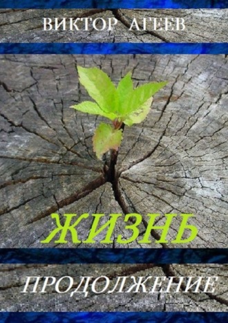 . Жизнь. Продолжение