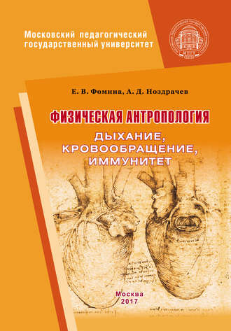 . Физическая антропология. Дыхание, кровообращение, иммунитет