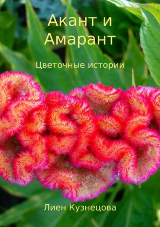 . Цветочные истории. Акант и Амарант
