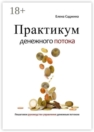 Елена Саджина. Практикум денежного потока. Пошаговое руководство управления денежным потоком