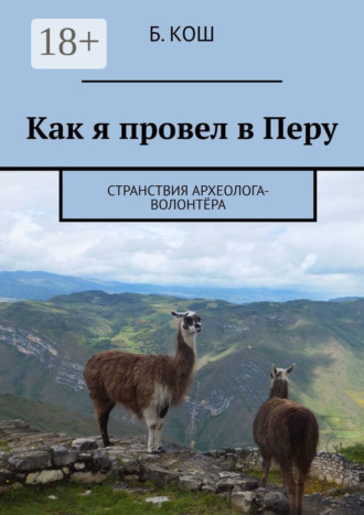 . Как я провел в Перу. Странствия археолога-волонтёра
