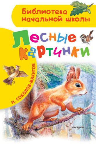 . Лесные картинки