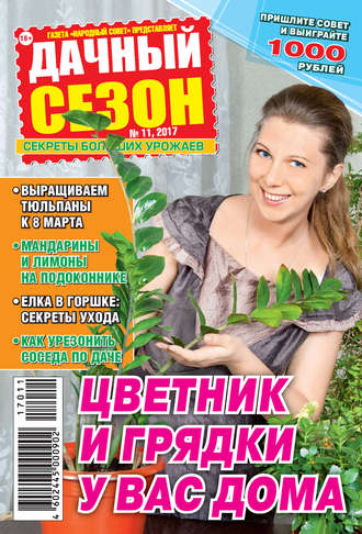 . Дачный сезон №11/2017