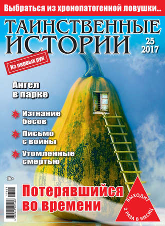 . Таинственные истории №25/2017