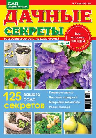 . Сад своими руками. Дачные секреты №2/2018