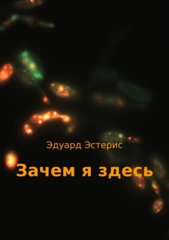 Эдуард Эстерис. Зачем я здесь