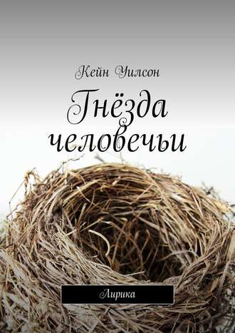 . Гнёзда человечьи. Лирика