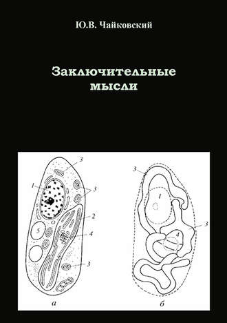 . Заключительные мысли
