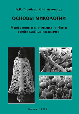 . Основы микологии. Морфология и систематика грибов и грибоподобных организмов