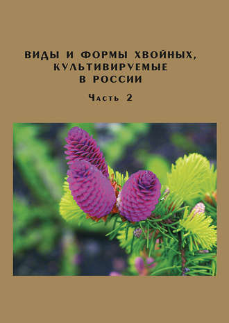 Д. Л. Матюхин. Виды и формы хвойных, культивируемые в России. Часть 2. Picea A. Dietr., Thuja L.