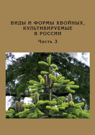 Д. Л. Матюхин. Виды и формы хвойных, культивируемые в России. Часть 3. Abies Mill., Chamaecyparis Spach