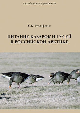 . Питание казарок и гусей в Российской Арктике