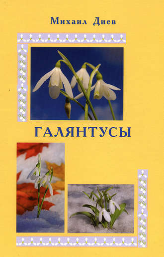 Михаил Диев. Галянтусы