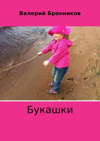 Валерий Бронников. Букашки