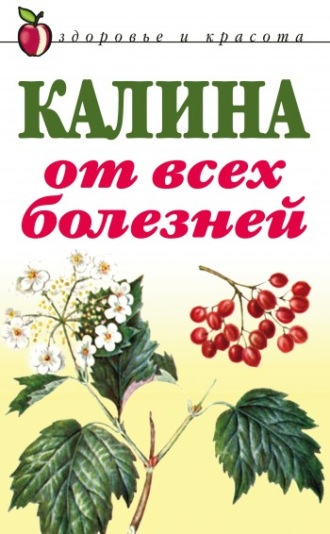 . Калина от всех болезней