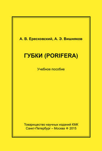 . Губки (Porifera). Учебное пособие
