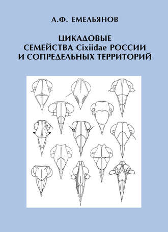 . Цикадовые семейства Cixiidae России и сопредельных территорий