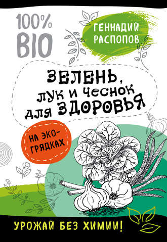 . Зелень для здоровья. Лук и чеснок на эко грядках