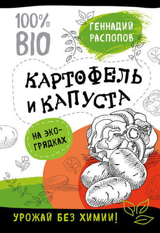 . Картофель и капуста на эко грядках. Урожай без химии