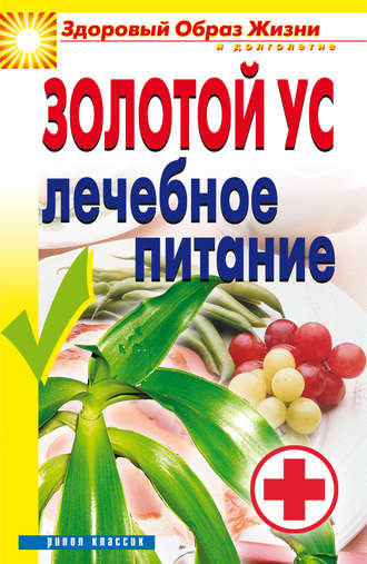 . Золотой ус. Лечебное питание