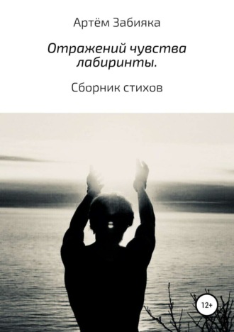 . Отражений чувства лабиринты. Сборник стихов