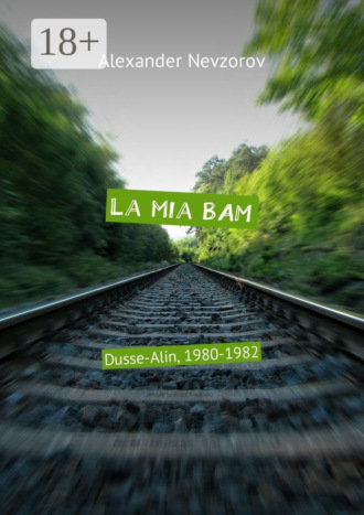 . La mia BAM. Dusse-Alin, 1980-1982