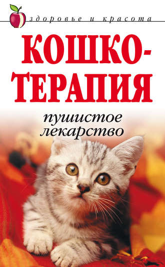 . Кошкотерапия. Пушистое лекарство