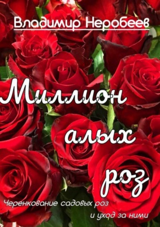 Владимир Сергеевич Неробеев. Миллион алых роз