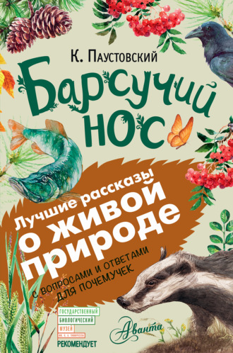 . Барсучий нос. С вопросами и ответами для почемучек
